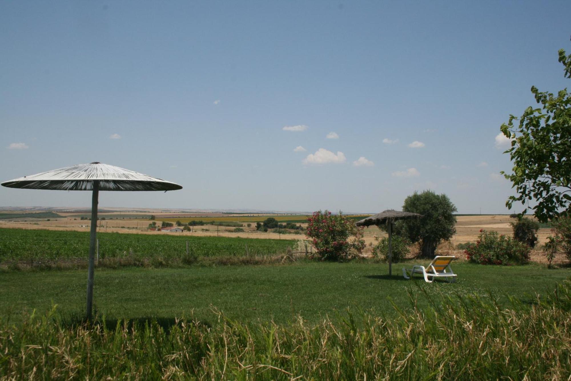Monte Da Morena Agro-Turismo Serpa Exterior foto