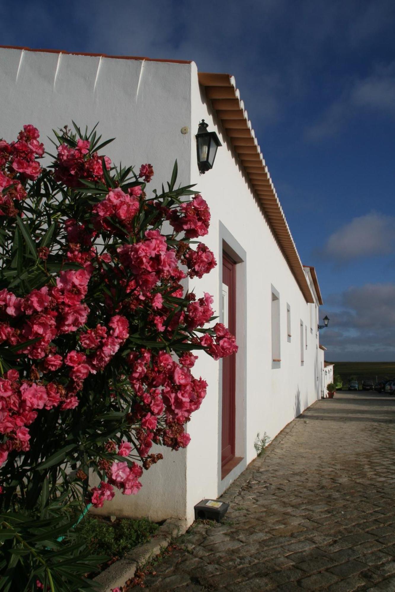 Monte Da Morena Agro-Turismo Serpa Exterior foto